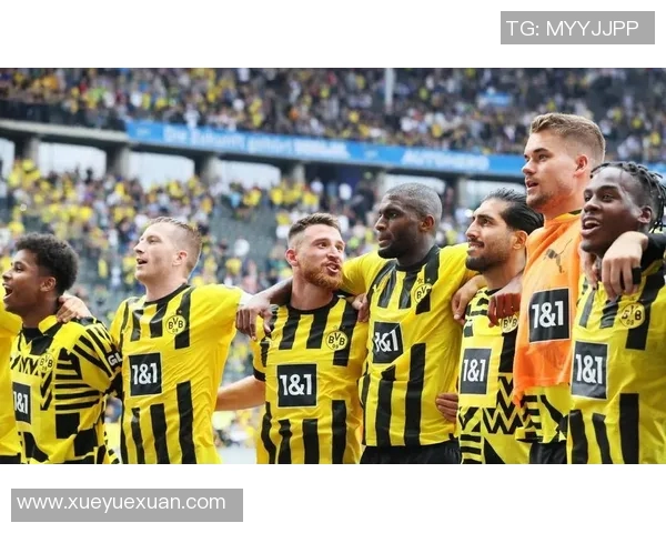 霍芬海姆客战多特蒙德遭遇失利,遗憾比分告负